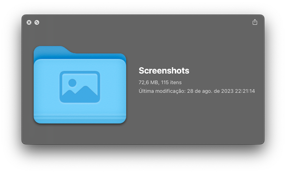 Print de tela mostrando um ícone de diretório em azul e abaixo o título da pasta escrito ScreenShots