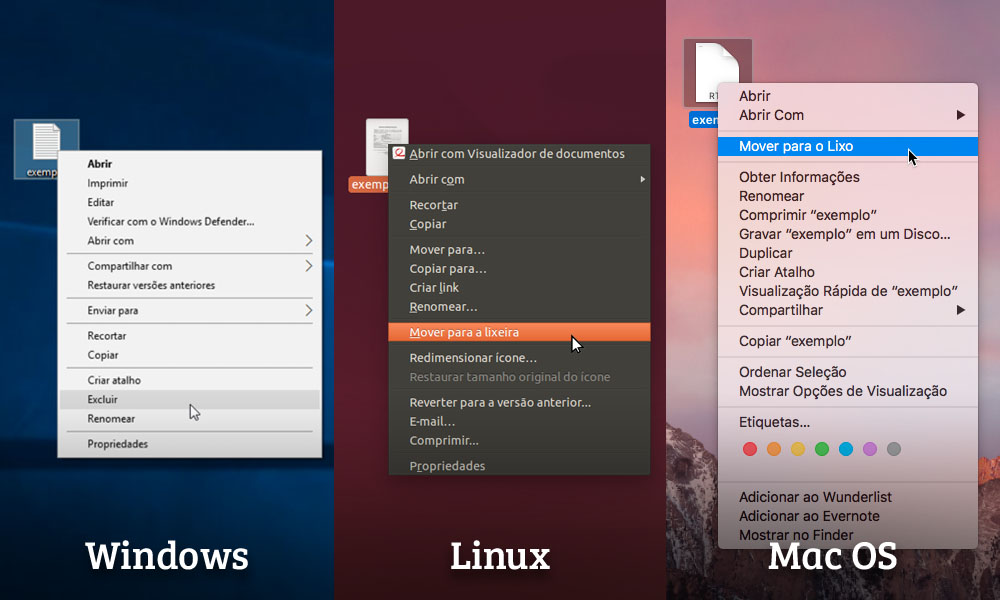 Usabilidade: botão excluir registro nos diversos SO's (Windows, Mac OS e Linux)